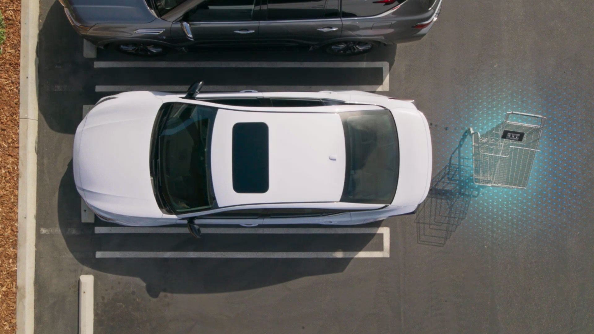 2026 Nissan Altima | Springfield Nissan in Springfield, MO